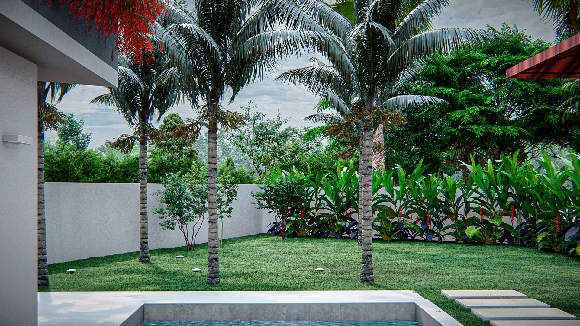 Piscina retangular junto a gramado com palmeiras altas, arbustos de folhagem tropical e muro branco ao fundo