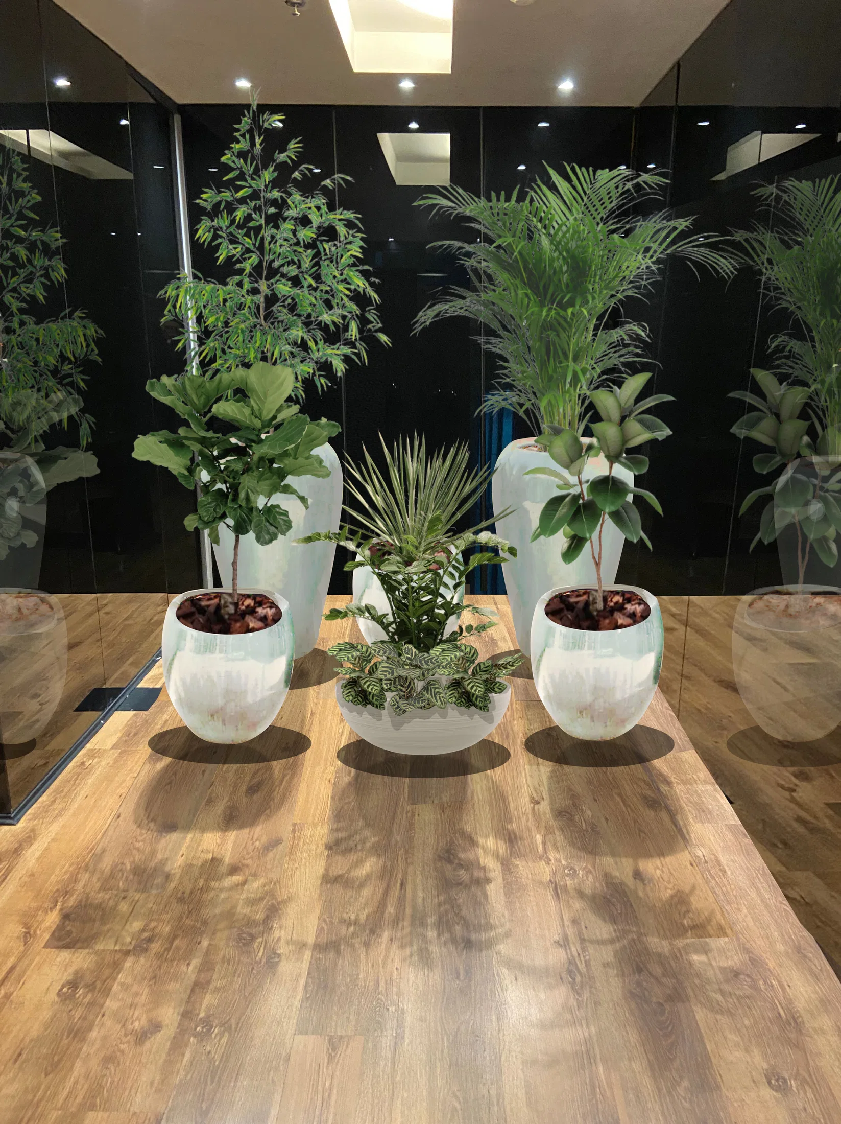 Arranjo de plantas tropicais em vasos brancos marmorizados e brilhantes, sobre piso amadeirado, diante de parede escura espelhada com iluminação embutida