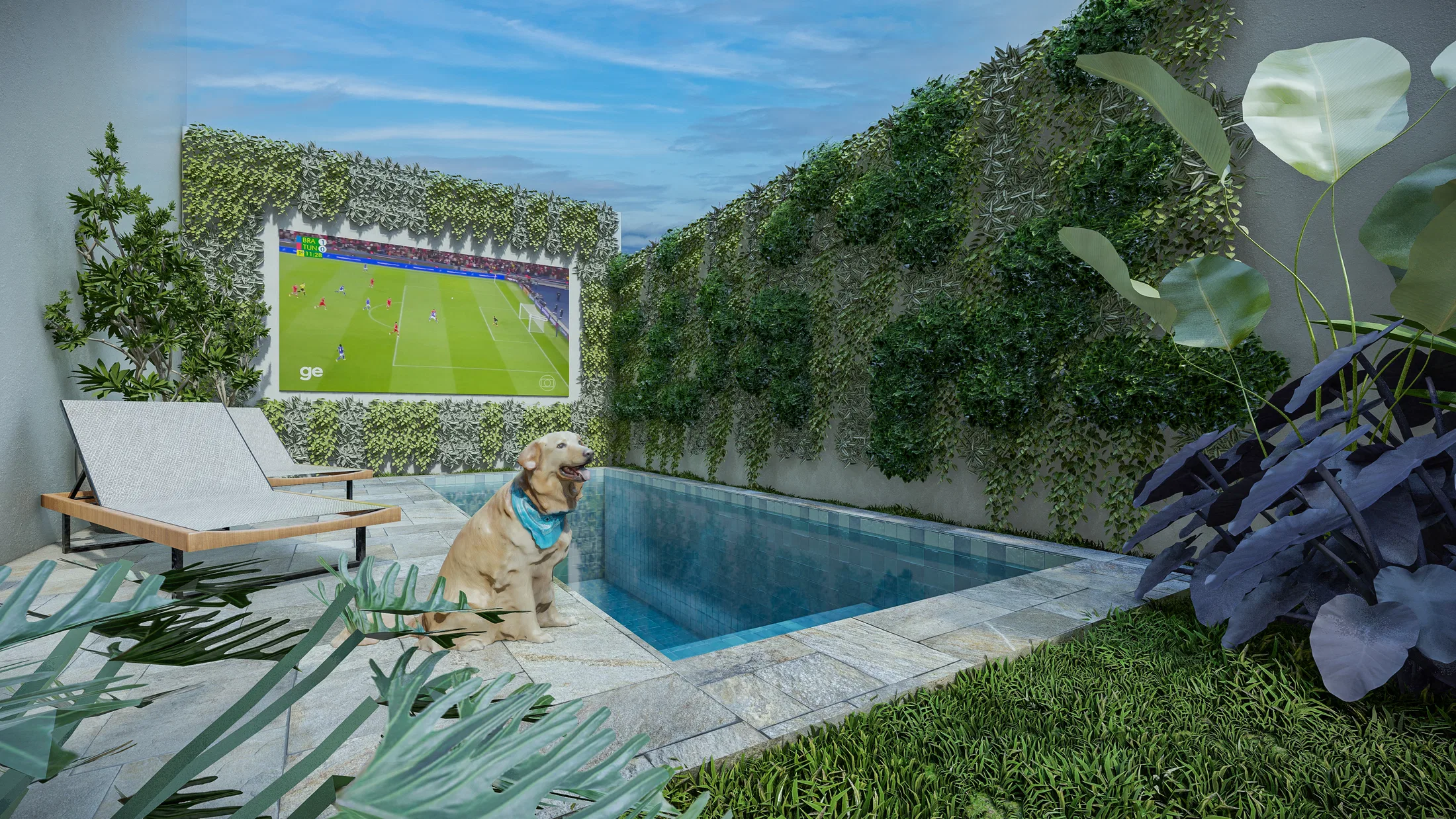 Piscina estreita com deck em pedra, cão sentado à beira da água e tela de projeção externa emoldurada por parede verde vertical