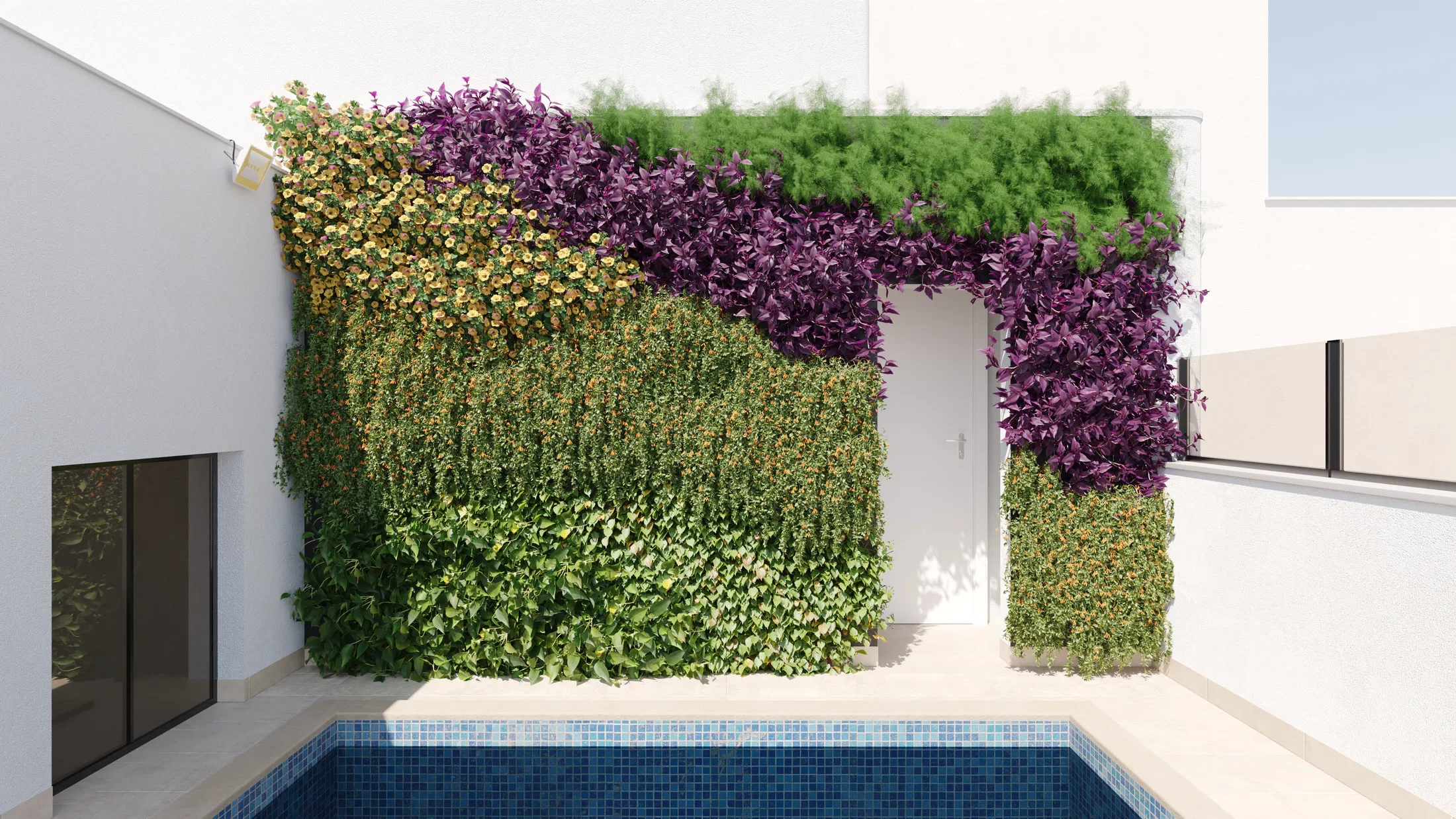 Jardim vertical emoldurando porta branca de acesso, com floração em amarelo, roxo e verde, diante de piscina de borda reta em pastilha azul.